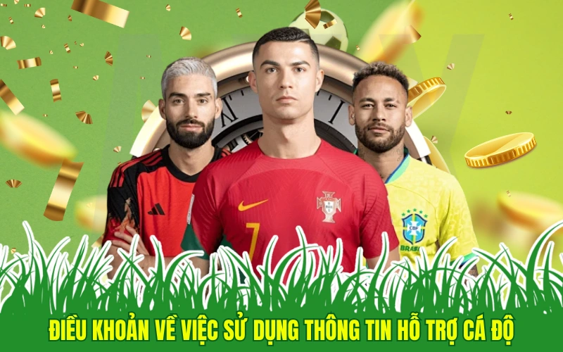 Điều khoản về việc sử dụng thông tin hỗ trợ cá độ